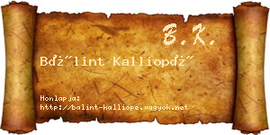 Bálint Kalliopé névjegykártya